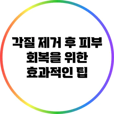 각질 제거 후 피부 회복을 위한 효과적인 팁