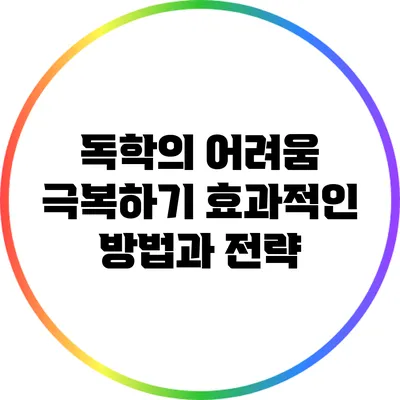 독학의 어려움 극복하기: 효과적인 방법과 전략