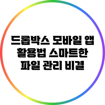 드롭박스 모바일 앱 활용법: 스마트한 파일 관리 비결