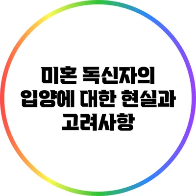 미혼 독신자의 입양에 대한 현실과 고려사항