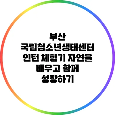 부산 국립청소년생태센터 인턴 체험기: 자연을 배우고 함께 성장하기