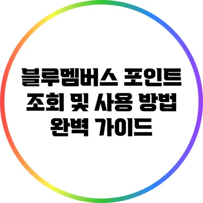 블루멤버스 포인트 조회 및 사용 방법 완벽 가이드