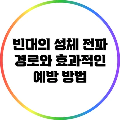 빈대의 성체 전파 경로와 효과적인 예방 방법