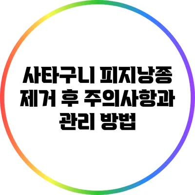 사타구니 피지낭종 제거 후 주의사항과 관리 방법