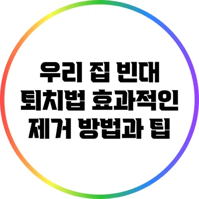우리 집 빈대 퇴치법: 효과적인 제거 방법과 팁