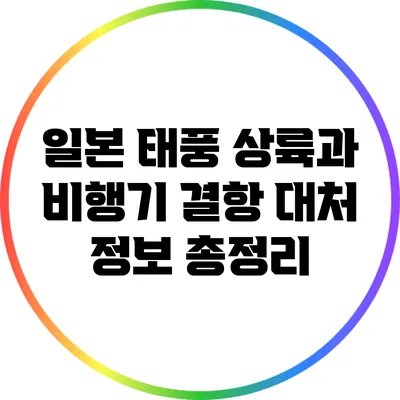 일본 태풍 상륙과 비행기 결항 대처 정보 총정리