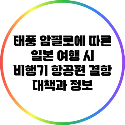 태풍 암필로에 따른 일본 여행 시 비행기 항공편 결항 대책과 정보