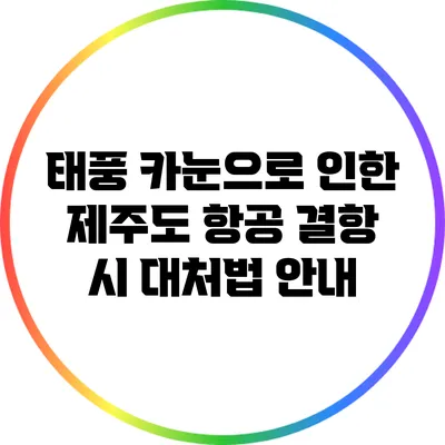 태풍 카눈으로 인한 제주도 항공 결항 시 대처법 안내