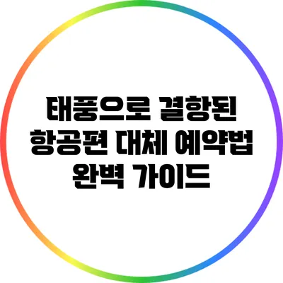 태풍으로 결항된 항공편 대체 예약법 완벽 가이드