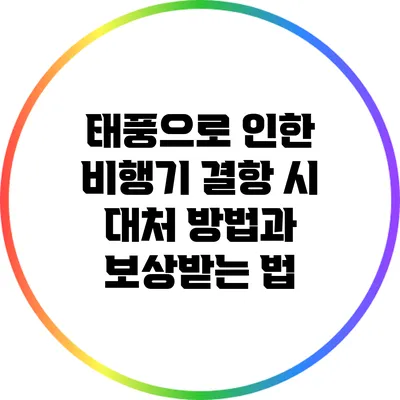 태풍으로 인한 비행기 결항 시 대처 방법과 보상받는 법