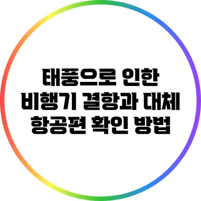 태풍으로 인한 비행기 결항과 대체 항공편 확인 방법