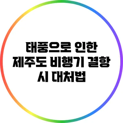 태풍으로 인한 제주도 비행기 결항 시 대처법