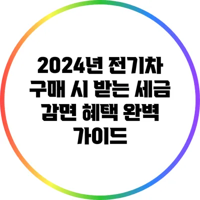 2024년 전기차 구매 시 받는 세금 감면 혜택 완벽 가이드