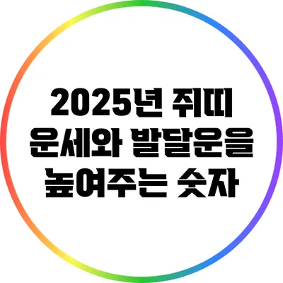 2025년 쥐띠 운세와 발달운을 높여주는 숫자