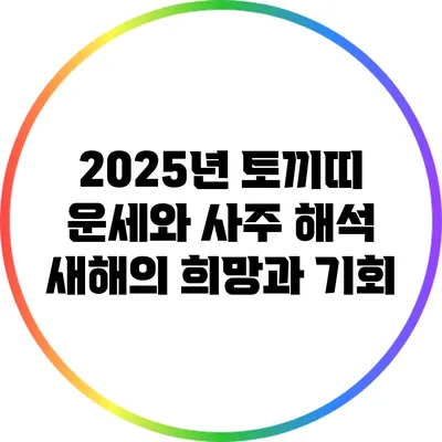2025년 토끼띠 운세와 사주 해석: 새해의 희망과 기회