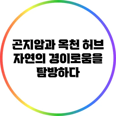 곤지암과 옥천 허브: 자연의 경이로움을 탐방하다
