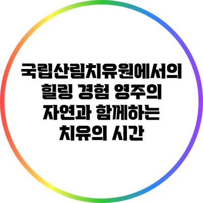 국립산림치유원에서의 힐링 경험: 영주의 자연과 함께하는 치유의 시간