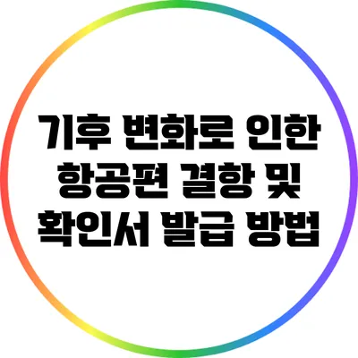 기후 변화로 인한 항공편 결항 및 확인서 발급 방법