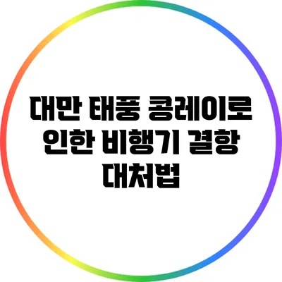 대만 태풍 콩레이로 인한 비행기 결항 대처법