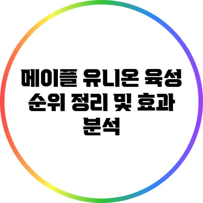 메이플 유니온 육성 순위 정리 및 효과 분석