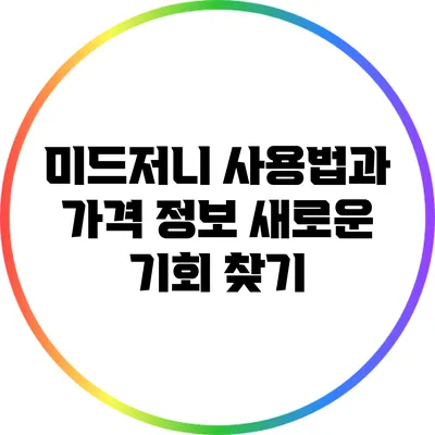 미드저니 사용법과 가격 정보: 새로운 기회 찾기