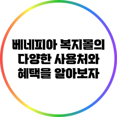 베네피아 복지몰의 다양한 사용처와 혜택을 알아보자