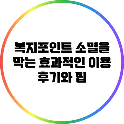 복지포인트 소멸을 막는 효과적인 이용 후기와 팁