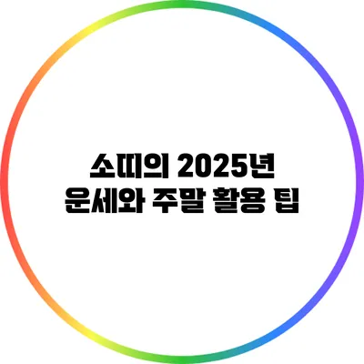 소띠의 2025년 운세와 주말 활용 팁