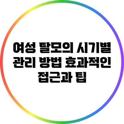 여성 탈모의 시기별 관리 방법: 효과적인 접근과 팁