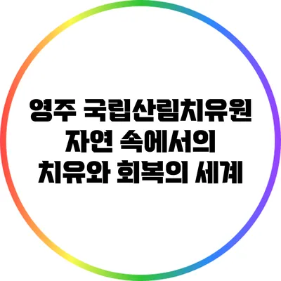 영주 국립산림치유원: 자연 속에서의 치유와 회복의 세계