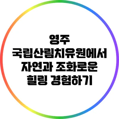 영주 국립산림치유원에서 자연과 조화로운 힐링 경험하기