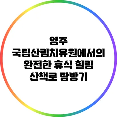 영주 국립산림치유원에서의 완전한 휴식: 힐링 산책로 탐방기