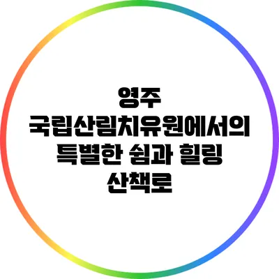 영주 국립산림치유원에서의 특별한 쉼과 힐링 산책로