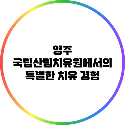 영주 국립산림치유원에서의 특별한 치유 경험