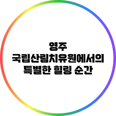 영주 국립산림치유원에서의 특별한 힐링 순간