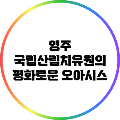 영주 국립산림치유원의 평화로운 오아시스