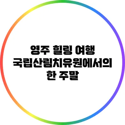 영주 힐링 여행: 국립산림치유원에서의 한 주말