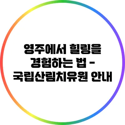 영주에서 힐링을 경험하는 법 - 국립산림치유원 안내