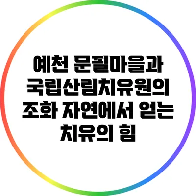 예천 문필마을과 국립산림치유원의 조화: 자연에서 얻는 치유의 힘