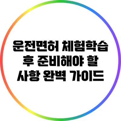 운전면허 체험학습 후 준비해야 할 사항 완벽 가이드