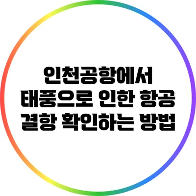 인천공항에서 태풍으로 인한 항공 결항 확인하는 방법