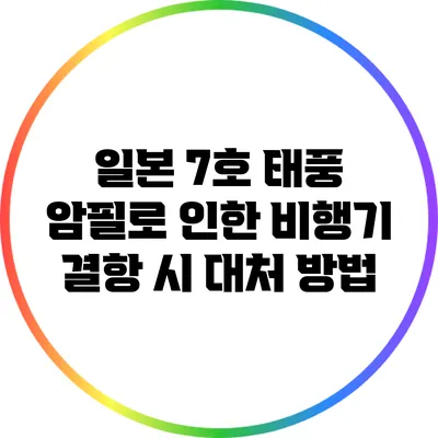 일본 7호 태풍 암필로 인한 비행기 결항 시 대처 방법