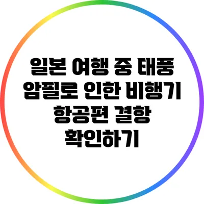 일본 여행 중 태풍 암필로 인한 비행기 항공편 결항 확인하기