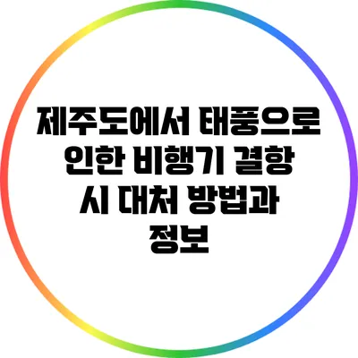 제주도에서 태풍으로 인한 비행기 결항 시 대처 방법과 정보