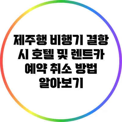 제주행 비행기 결항 시 호텔 및 렌트카 예약 취소 방법 알아보기
