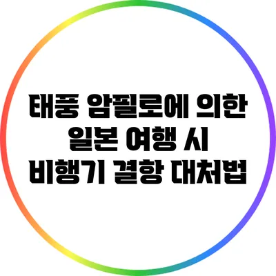 태풍 암필로에 의한 일본 여행 시 비행기 결항 대처법