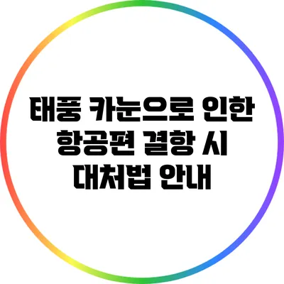태풍 카눈으로 인한 항공편 결항 시 대처법 안내
