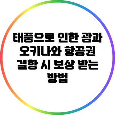 태풍으로 인한 괌과 오키나와 항공권 결항 시 보상 받는 방법