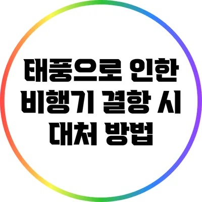 태풍으로 인한 비행기 결항 시 대처 방법