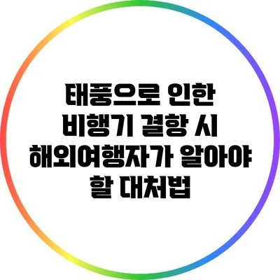 태풍으로 인한 비행기 결항 시 해외여행자가 알아야 할 대처법